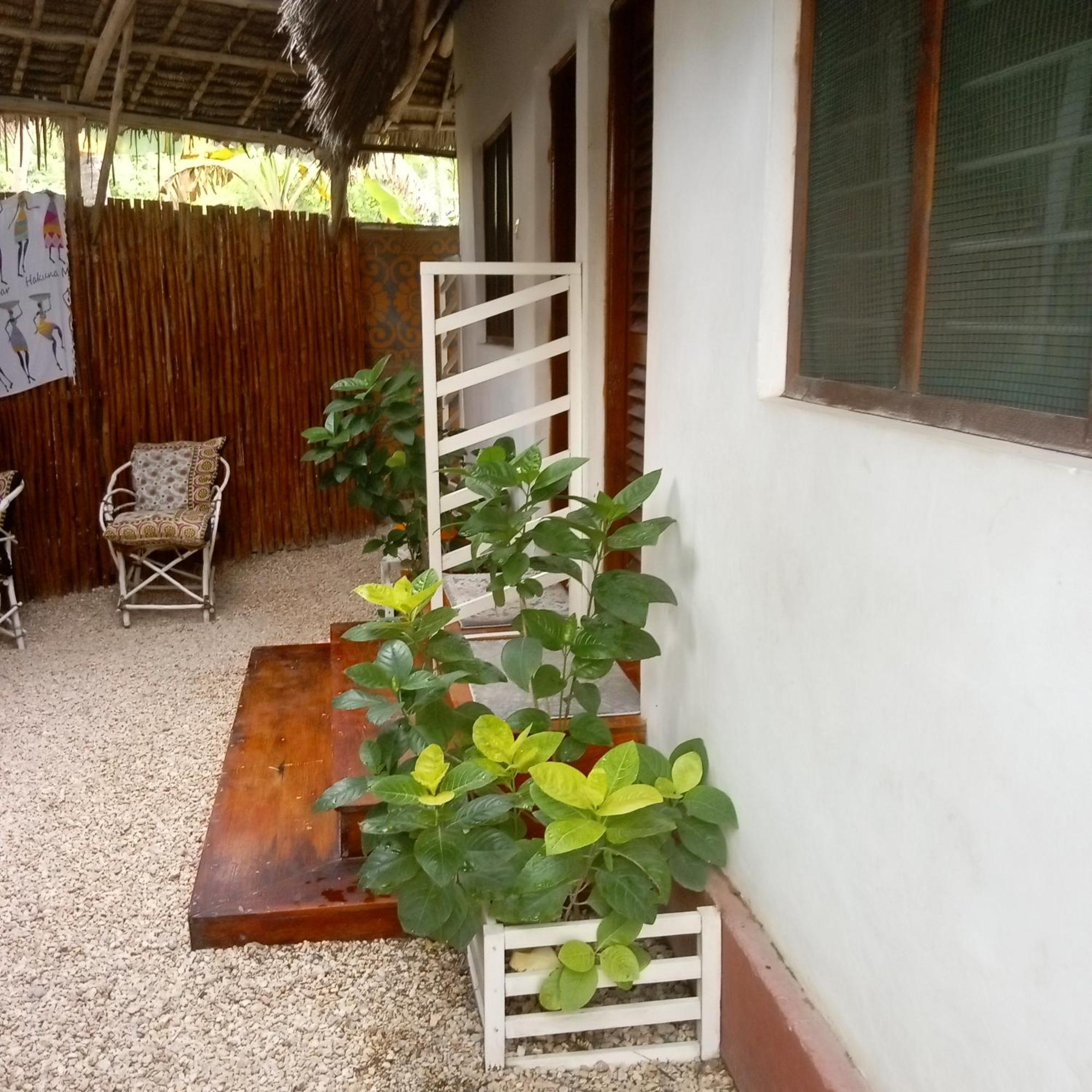 Casa Carlotta & Villa Nungwi Extérieur photo