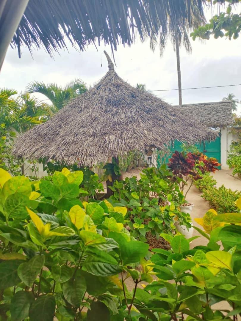 Casa Carlotta & Villa Nungwi Extérieur photo